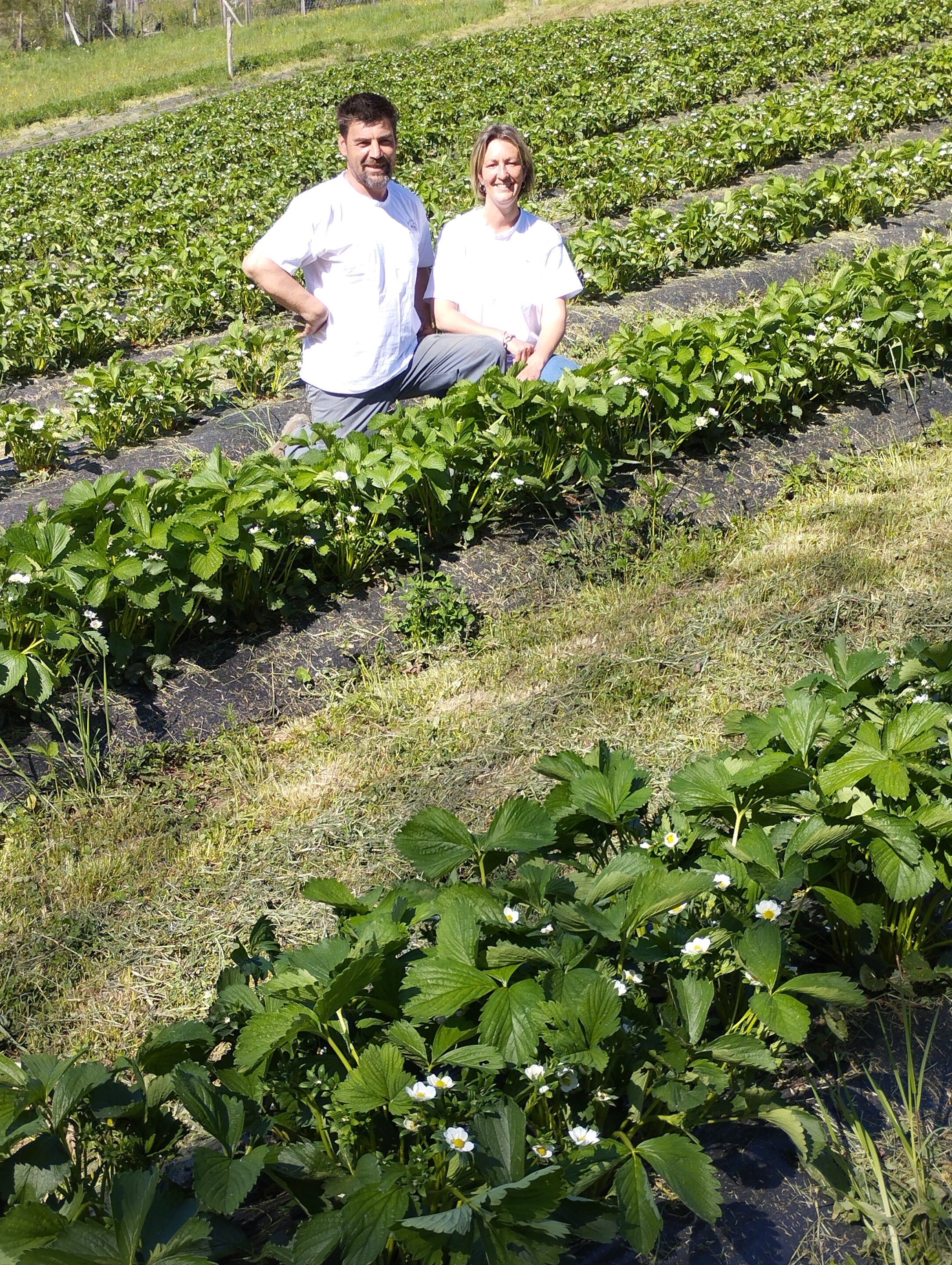 marion et mathieu